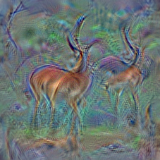 n02422699